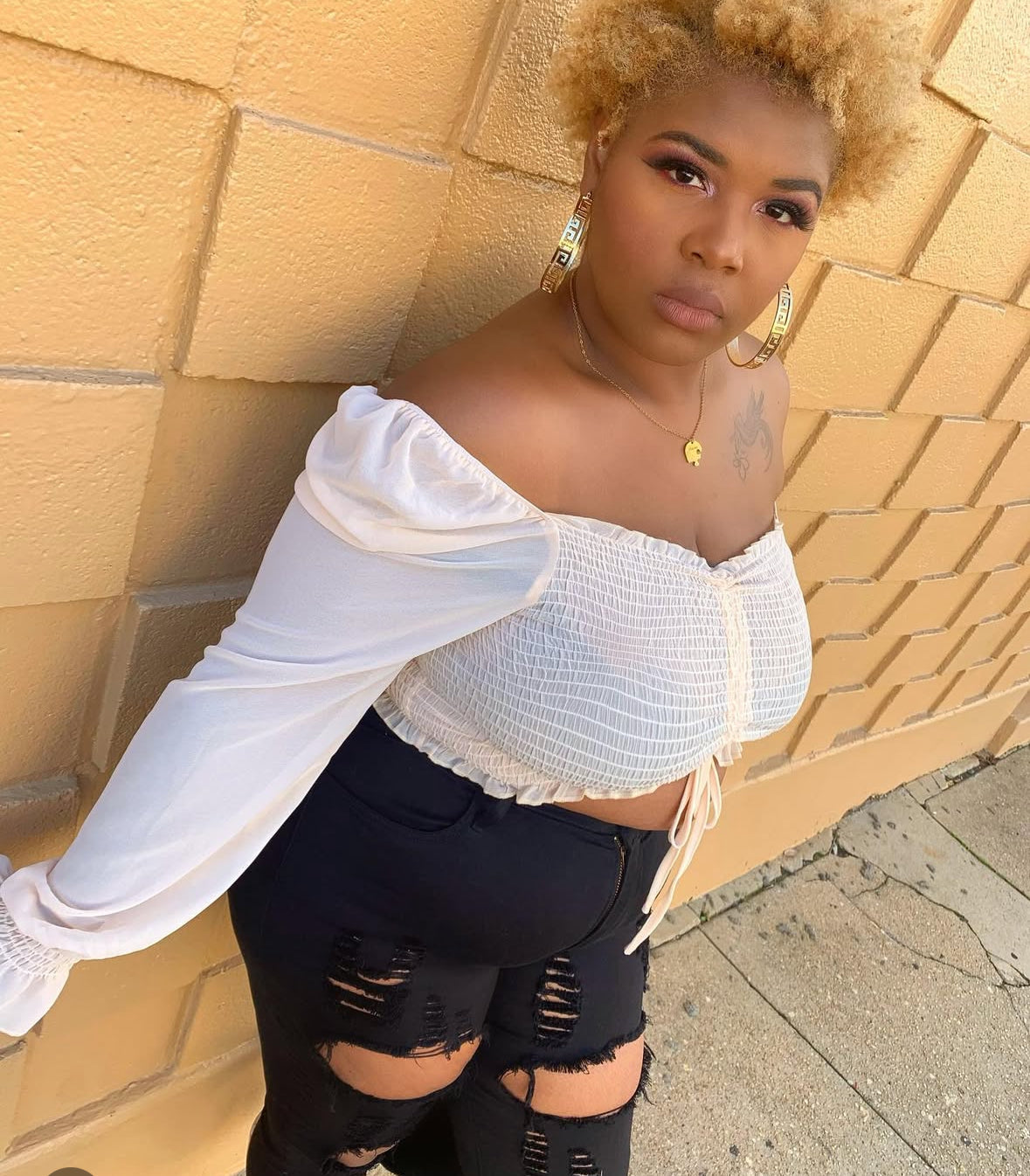 Maria Chiffon Top (Plus)