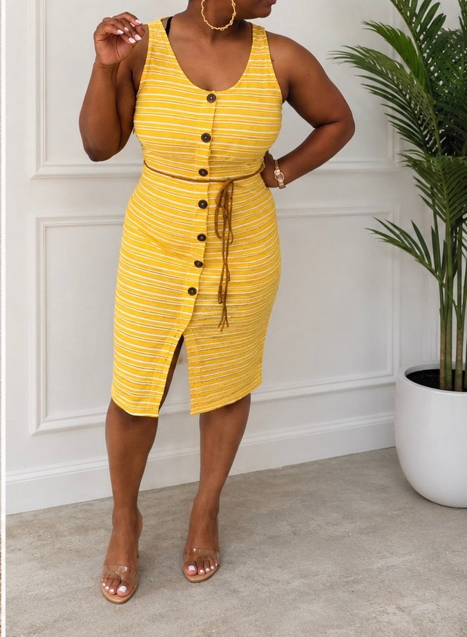 Sunshine Stroll Dress